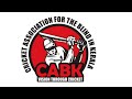 Cabk strikers vs cabk battalions  final  cricket association for blind in kerala