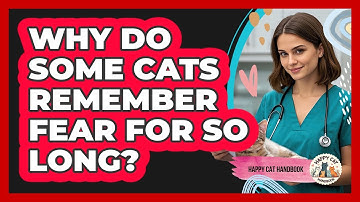 Why Do Some Cats Remember Fear For So Long? - Happy Cat Handbook