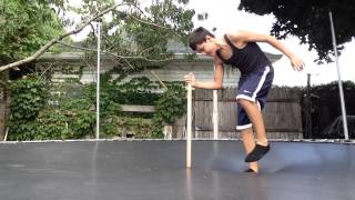 EXTREME dizzy bat challenge