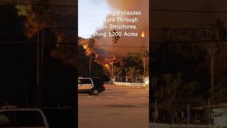Devastating Palisades Fire Tears Through 5,000+ Structures, Scorching 1,200 Acres 🔥