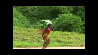 NKUNA NDI NKUNA DODA BA DODA KIADI MINU MUANA BAKALA