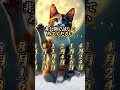 開運招き猫 #金運 #金運上昇 #誕生日 #大開運 #引き寄せ