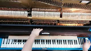 Piano String Brakes On Camera