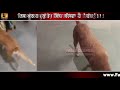 Xclusive Video   ਕੋਈ ਰੱਬੀ ਰੂਹ ਹੈ Sri Hazur Sahib ਰਹਿੰਦਾ ਇਹ ਕੁੱਤਾ Blind Dog Full Reality