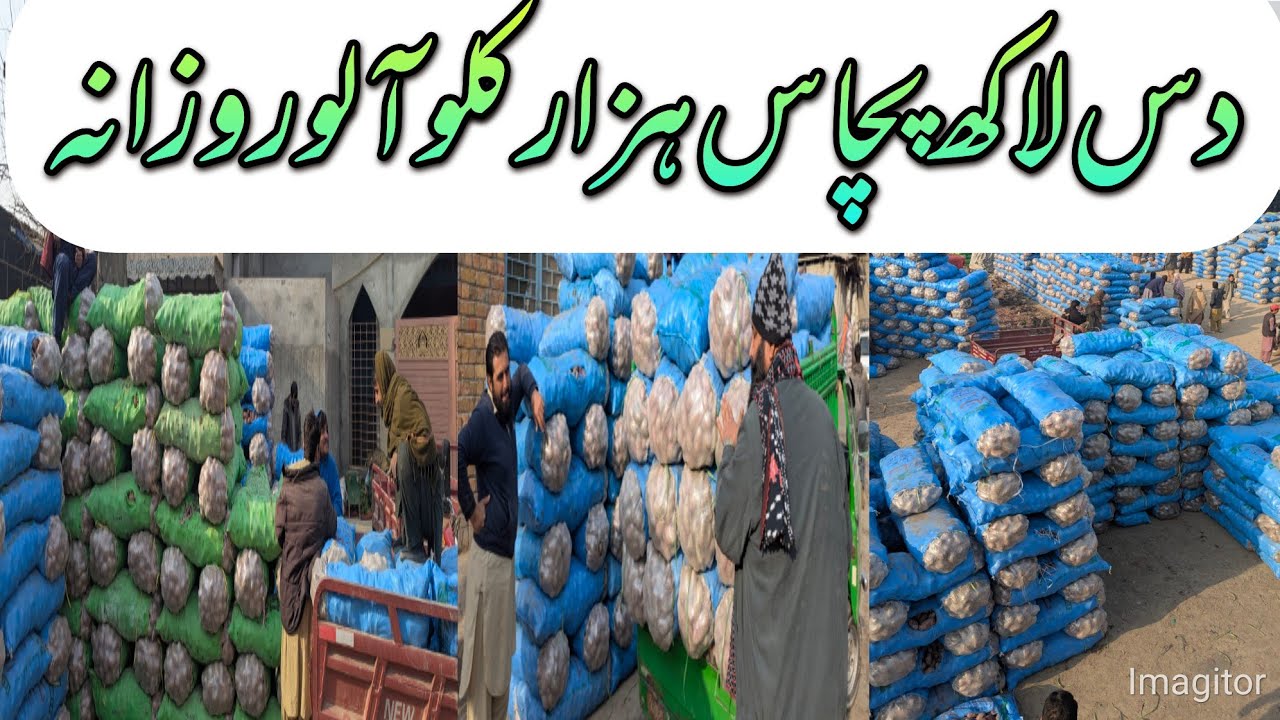 Islamabad Mandi Potato Market Inside Story | Aloo Prices, Demand Supply, Commission System Explained