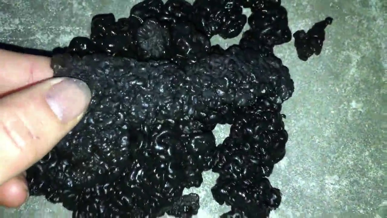 Как сушить  эксидию железистую (Exidia glandulosa)