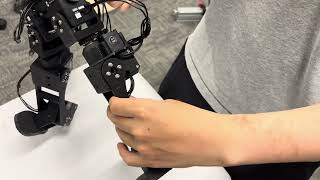 Celebrity Toddlerbot 2.0 Leg Overview Net Worth
