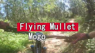 Flying Mullet - Mogo MTB Green Trail - NSW