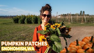 3 BEST Pumpkin Patches To Explore In Snohomish, WA