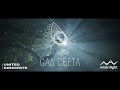 Мультимедийное шоу Сад света 