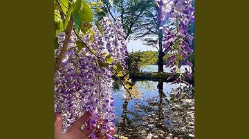 I7OTOMY 4TO Tbl ECTb (Russian)