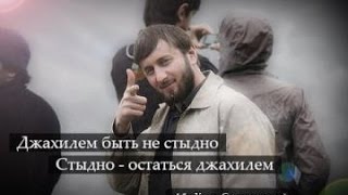 СТУКАЧИ из окружения Абу Умара Саситлинского