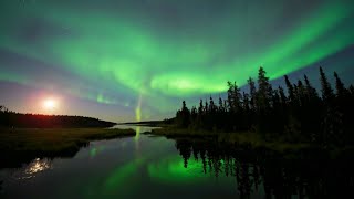 Aurora Borealis: The Arctic Circle's Spectacular Northern Lights | The Borderless Sky