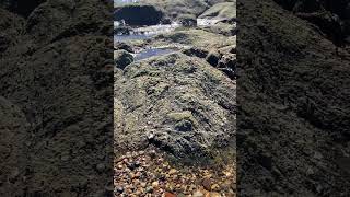 IMG 3754