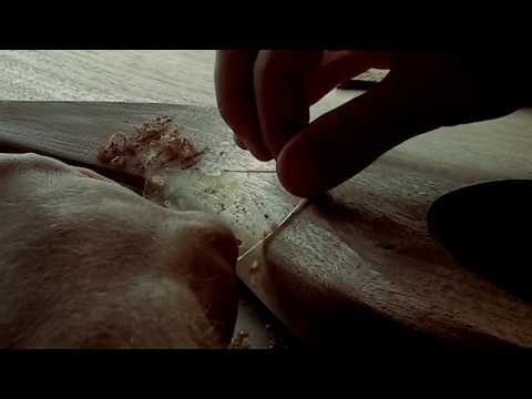 Free Wood Scraper | Guitar Building