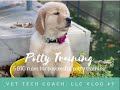 Vlog 9  potty training