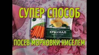 ПОСЕВ МОРКОВКИ КИСЕЛЕМ. Супер способ посадки моркови.