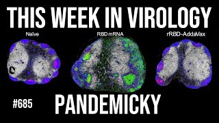 Download Lagu TWiV 685: Pandemicky