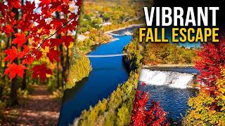 Autumn Adventures: Capturing Nature's Colorful