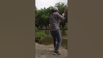 Câu cá tra #shorts | Dã Ngoại Cùng Lan