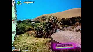 Where are the SHAD by Mannie Jorreiro in Coffee Bay #shad #trace #fishing #mydo