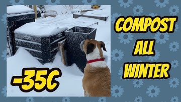 How To Compost in Winter (even EXTREME COLD)