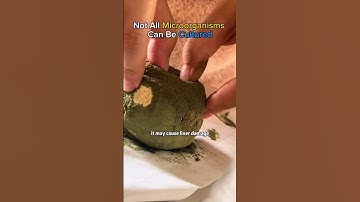 Which microorganisms do you like?🦠🔬  #microorganisms #shorts