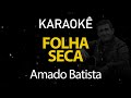Folha Seca - Amado Batista (Karaokê Classics Collection)