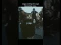 Gangster cats #edit #meme #memeshorts #youtubeshorts #cat #catmeme #
