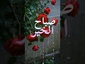 صباحكم خير و بركة صباح الخير اللهم صل وسلم على نبينا محمد اكسبلور لايك