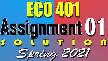 ECO401 Assignment 1 Solution Spring 2021 | ECO401 Assignment 1 Solution 2021