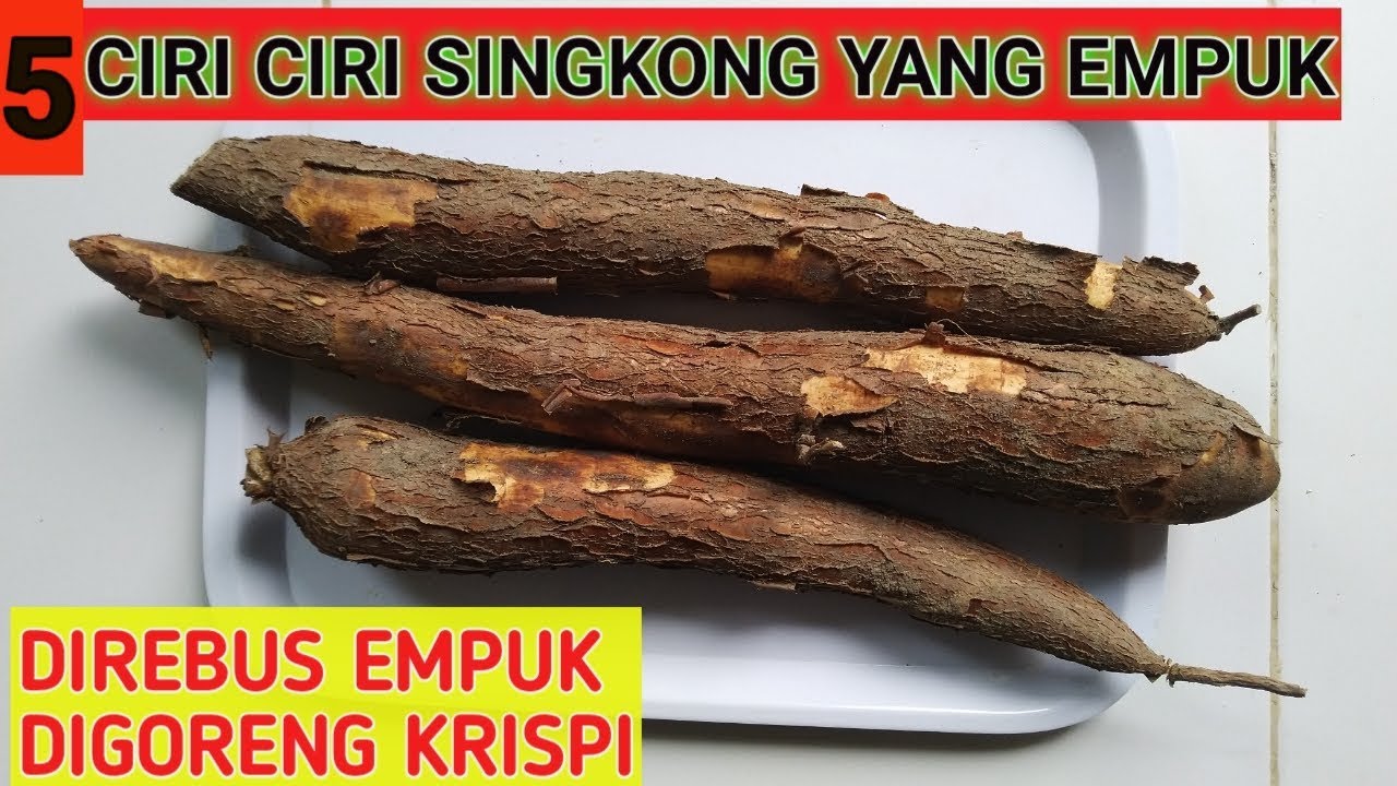 5 Ciri Singkong Yang Empuk | Direbus Empuk Digoreng Krispi - Youtube