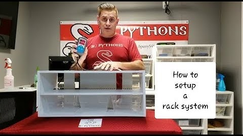 How to set up and maintain a snake rack. #snakerackcare #ballpythoncare