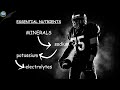 Nutrition, Hydration & Health [Science of NFL Football] image