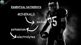 Nutrition, Hydration & Health [Science of NFL Football] image