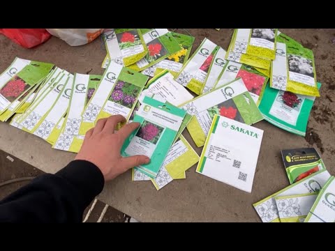 Обзор семян. Эти