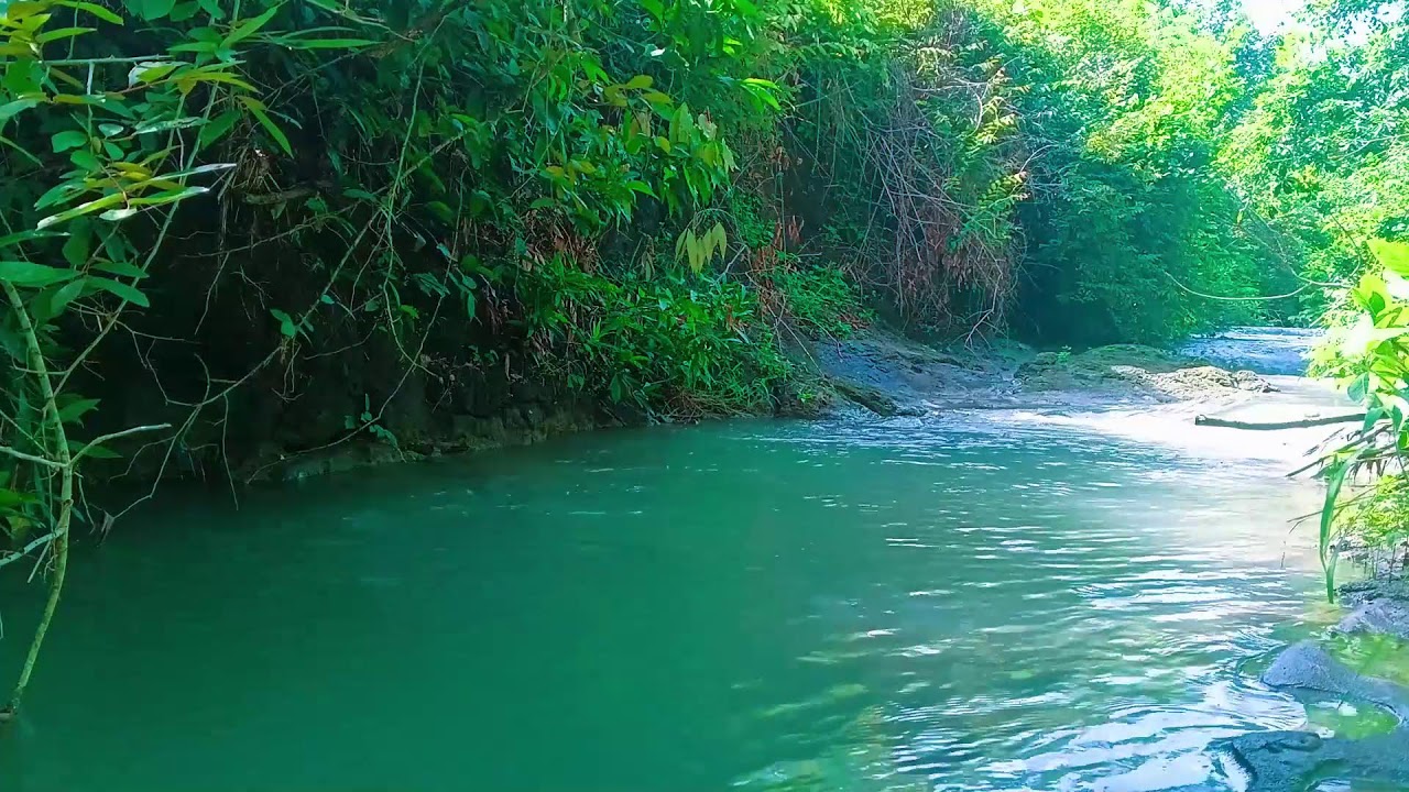 ASMR River Sounds for Sleep, Relaxation & Focus | No Talking Nature Ambience 🌿💤