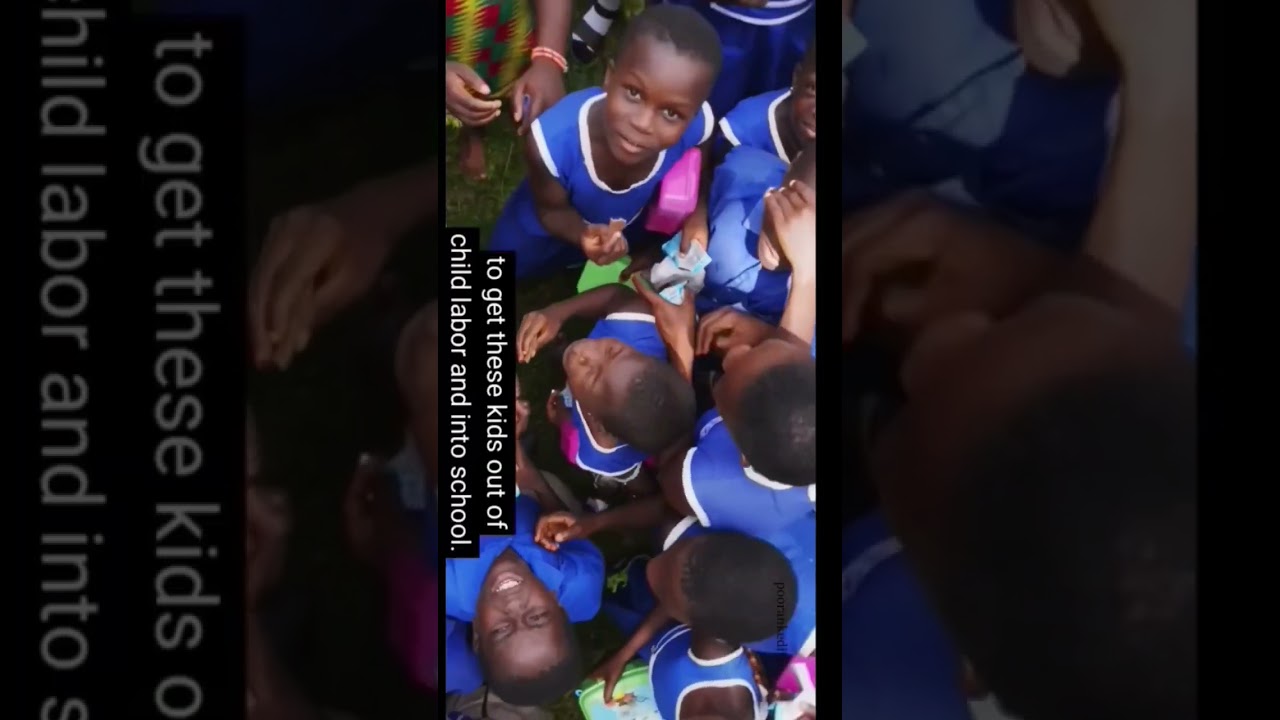 mr beast working with the farmers to establish child labour monitoring