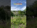 Эндуро Крутая гора!!!!
