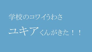ユキアくん、ふたたび
