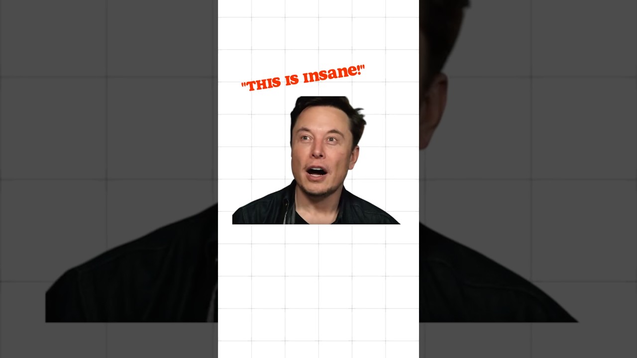 What is Elon Musk’s "Idiot Index"?