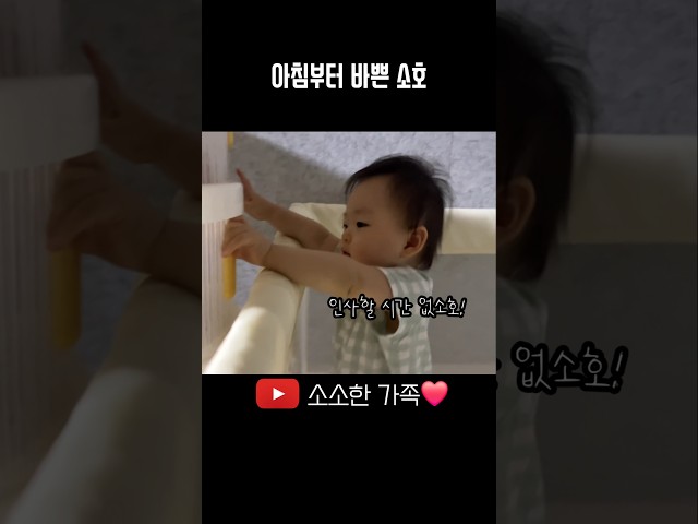 엄마가 온지도 모르고 세상 바쁜 소호#9개월아기