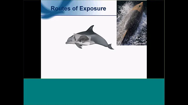 Laurie Sullivan, Natural Resource Damage Assessmen...