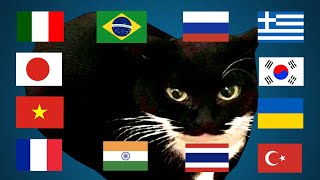 Maxwell The Cat in different languages
