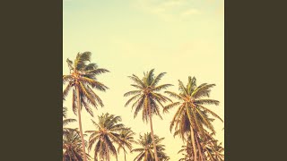 Phenomenal Winter Holidays