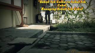 Story' Wa Keren, "PRINSIPKU LOSSS" rasah dipikir Sepaneng....!!!!