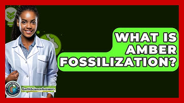 What Is Amber Fossilization? - Earth Science Answers