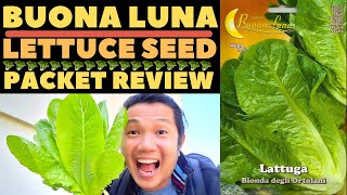  HOW TO GROW LETTUCE FROM SEED PAANO MAGTANIM NG LETTUCE SEED|BUONA LUNA LETTUCE SEED PACKET REVIEW