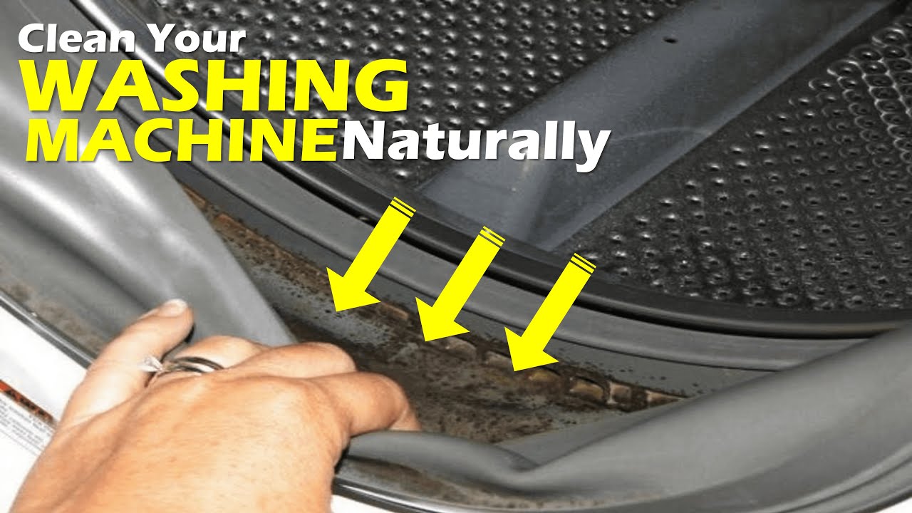 How to Clean Your Washing Machine Naturally Ideas With No Cost