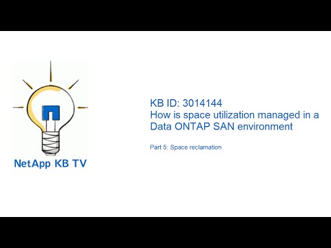 Space utilization in a SAN environment - Space reclamation